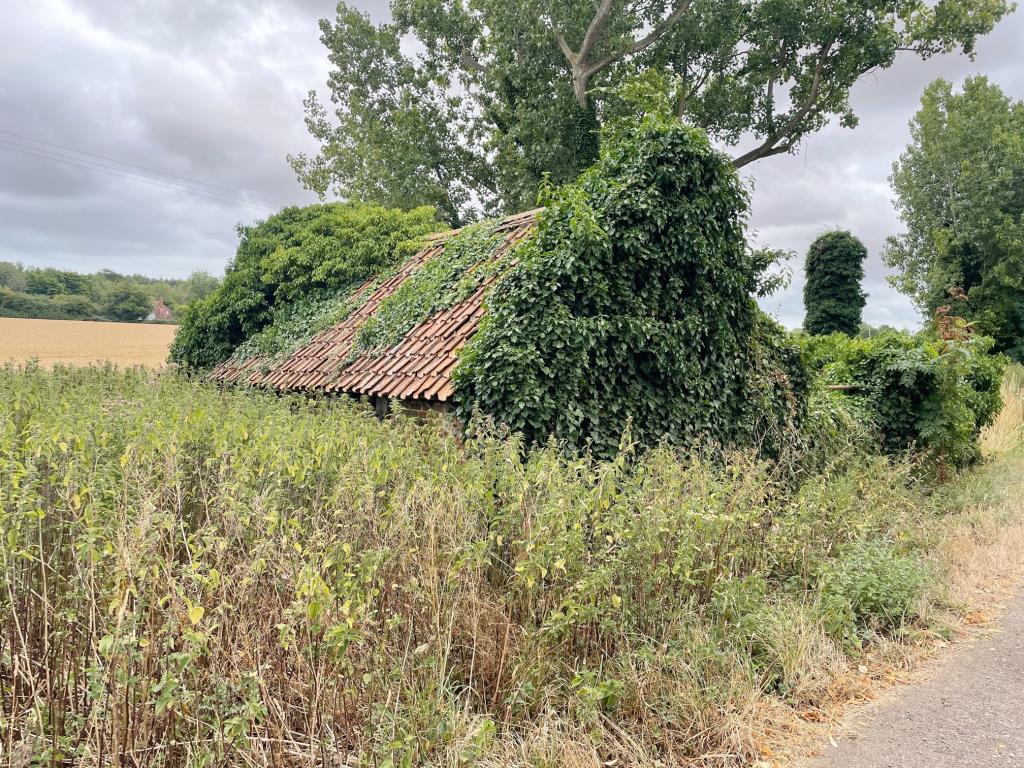Lot: 56 - DETACHED BUILDING AND LAND -